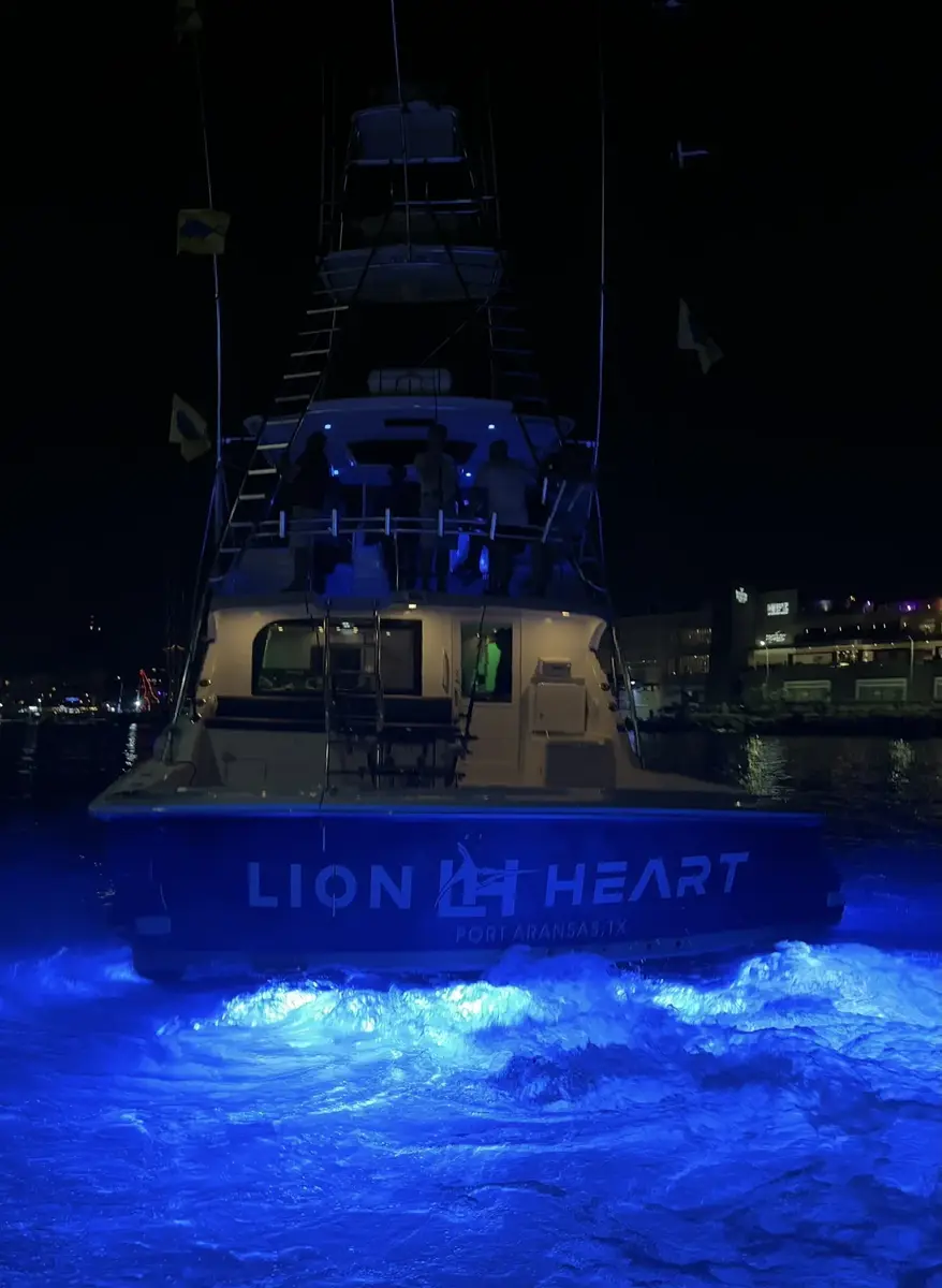 Lion Heart glowing at night with blue underwater and flybridge lighting